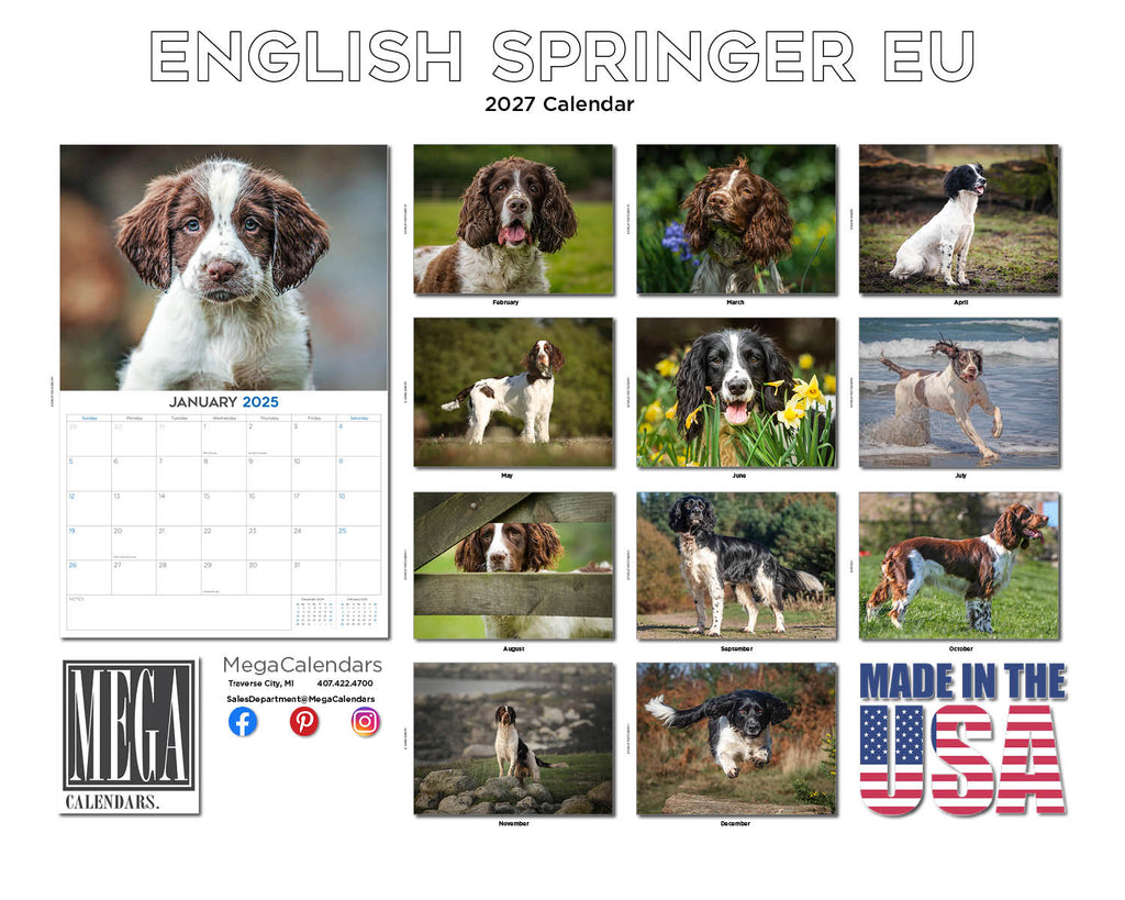 European English Springer Spaniel Wall Calendar 2027 - 12" x 9" 14-Month Dog Breed