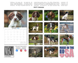 European English Springer Spaniel Wall Calendar 2027 - 12" x 9" 14-Month Dog Breed