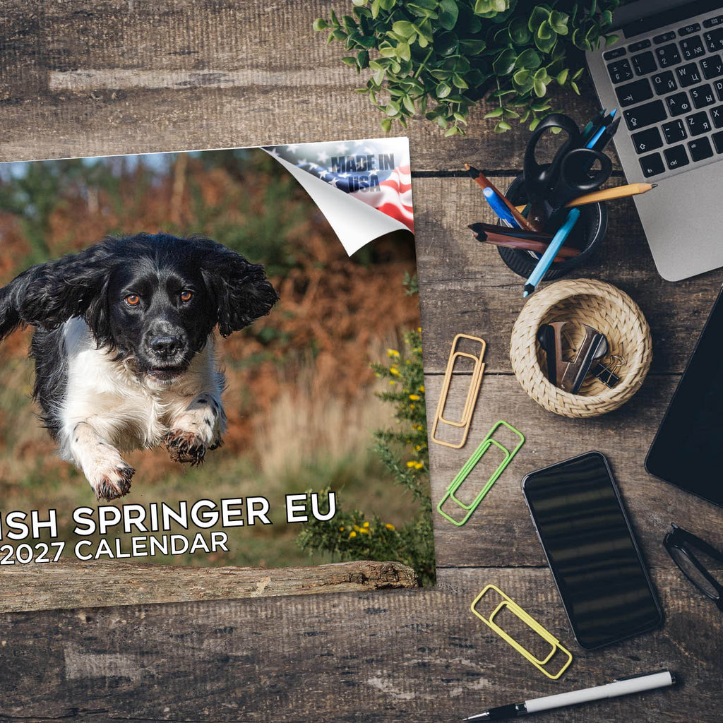European English Springer Spaniel Wall Calendar 2027 - 12" x 9" 14-Month Dog Breed