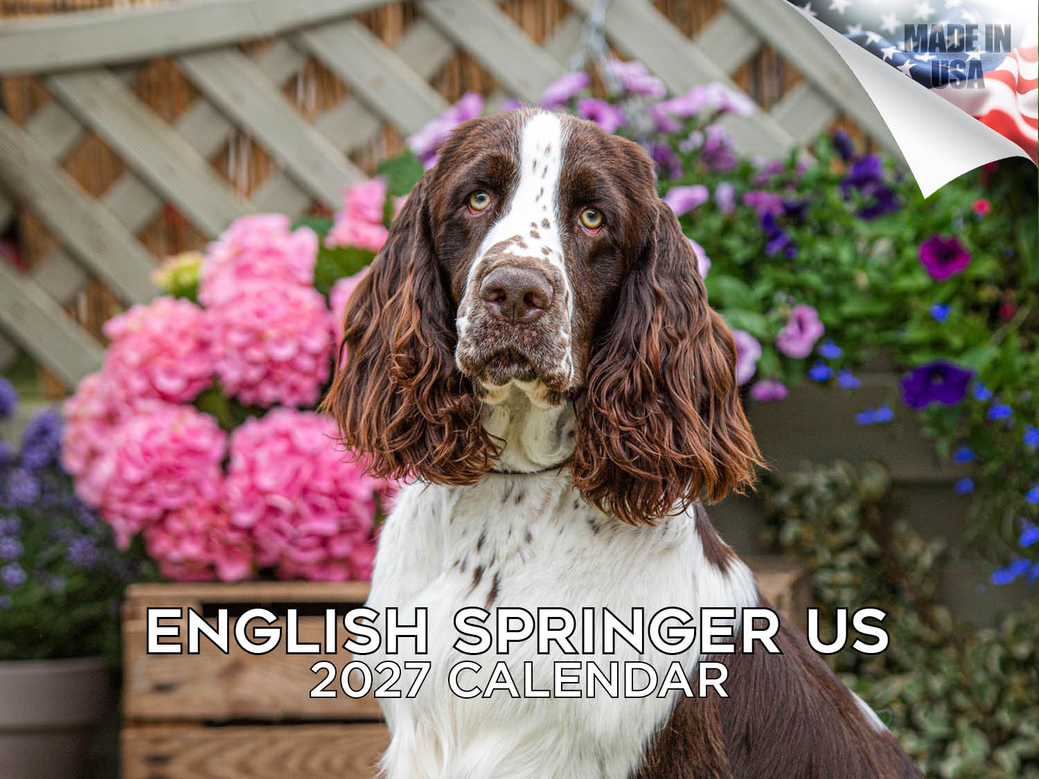 American English Springer Spaniel Wall Calendar 2027 - 12