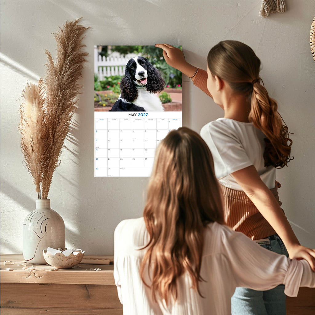 American English Springer Spaniel Wall Calendar 2027 - 12" x 9" 14-Month Dog Breed