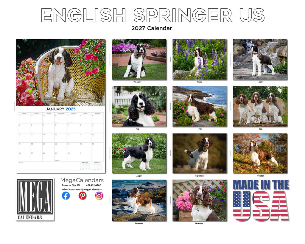 American English Springer Spaniel Wall Calendar 2027 - 12" x 9" 14-Month Dog Breed