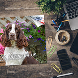 American English Springer Spaniel Wall Calendar 2027 - 12" x 9" 14-Month Dog Breed