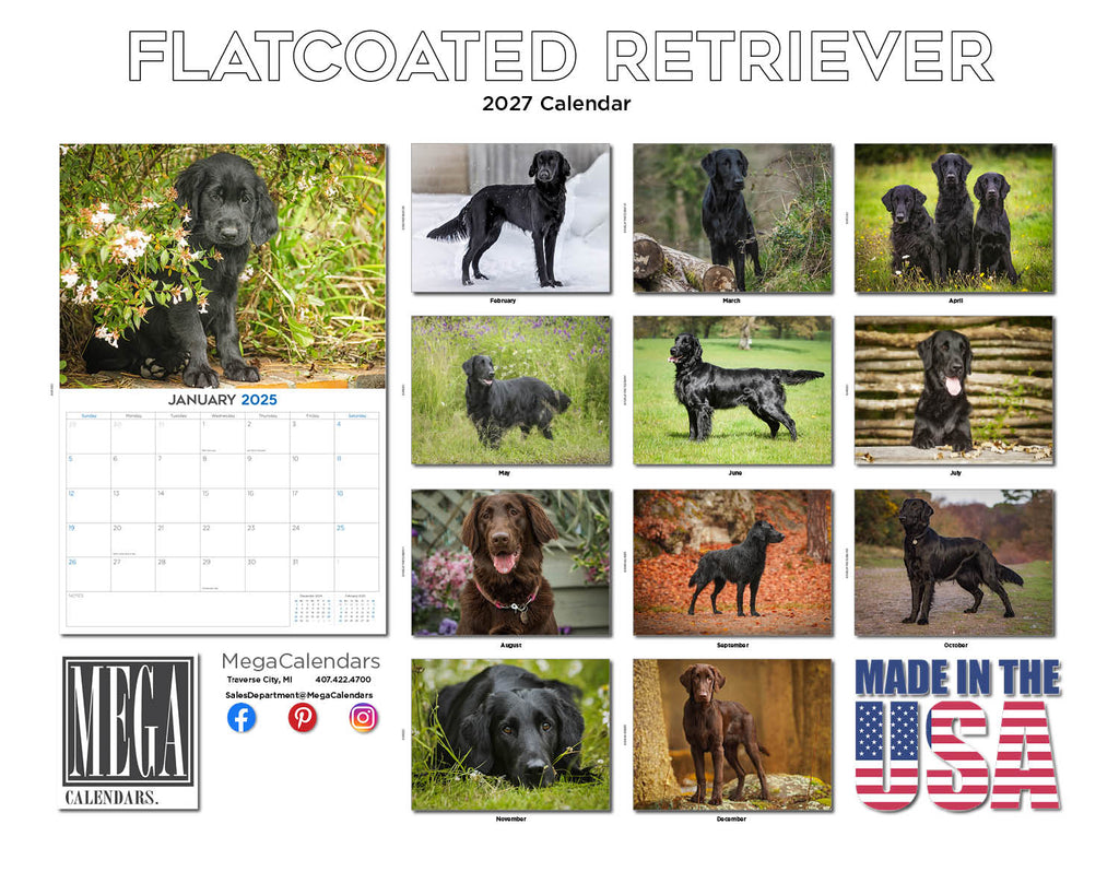Flat-Coated Retriever Wall Calendar 2027 - 12" x 9" 14-Month Dog Breed Calendar