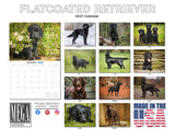 Flat-Coated Retriever Wall Calendar 2027 - 12" x 9" 14-Month Dog Breed Calendar
