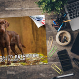 Flat-Coated Retriever Wall Calendar 2027 - 12" x 9" 14-Month Dog Breed Calendar