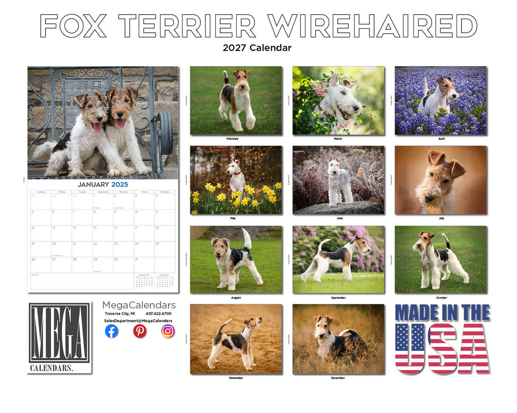Wirehaired Fox Terrier Wall Calendar 2027 - 12" x 9" 14-Month Dog Breed Calendar