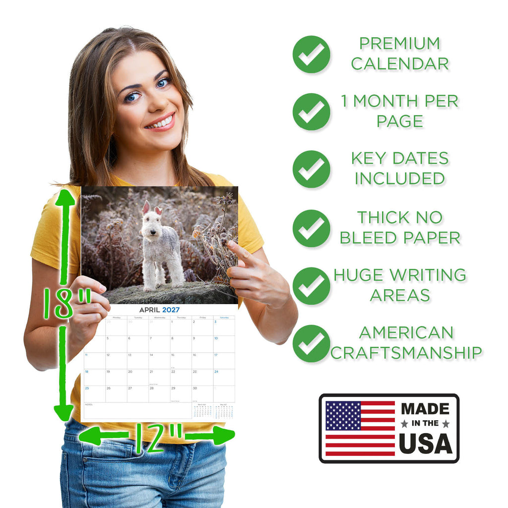 Wirehaired Fox Terrier Wall Calendar 2027 - 12" x 9" 14-Month Dog Breed Calendar