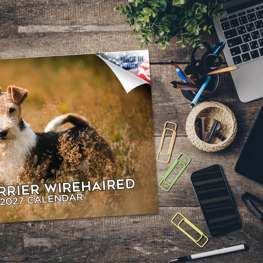Wirehaired Fox Terrier Wall Calendar 2027 - 12" x 9" 14-Month Dog Breed Calendar