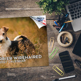 Wirehaired Fox Terrier Wall Calendar 2027 - 12" x 9" 14-Month Dog Breed Calendar