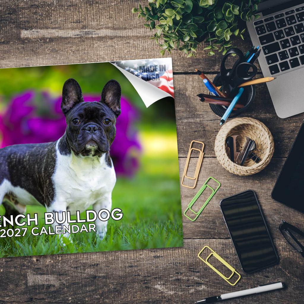 French Bulldog Wall Calendar 2027 - 12" x 9" 14-Month Dog Breed Calendar