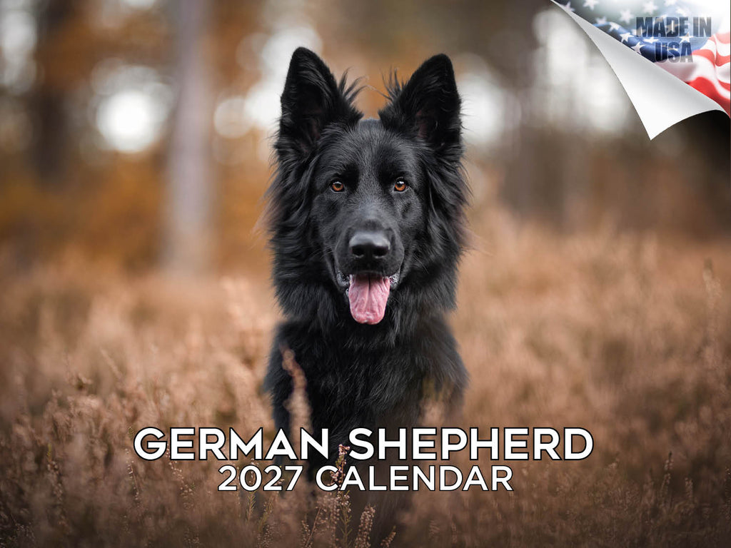 German Shepherd Wall Calendar 2027 - 12" x 9" 14-Month Dog Breed Calendar