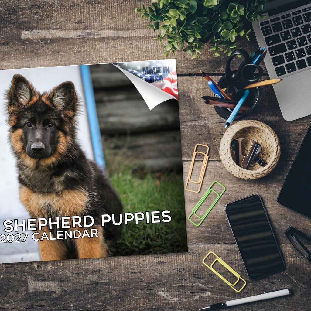 German Shepherd Puppies Wall Calendar 2027 - 12" x 9" 14-Month Dog Breed Calendar