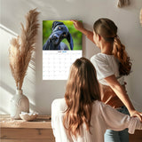 German Shorthaired Pointer Wall Calendar 2027 - 12" x 9" 14-Month Dog Breed
