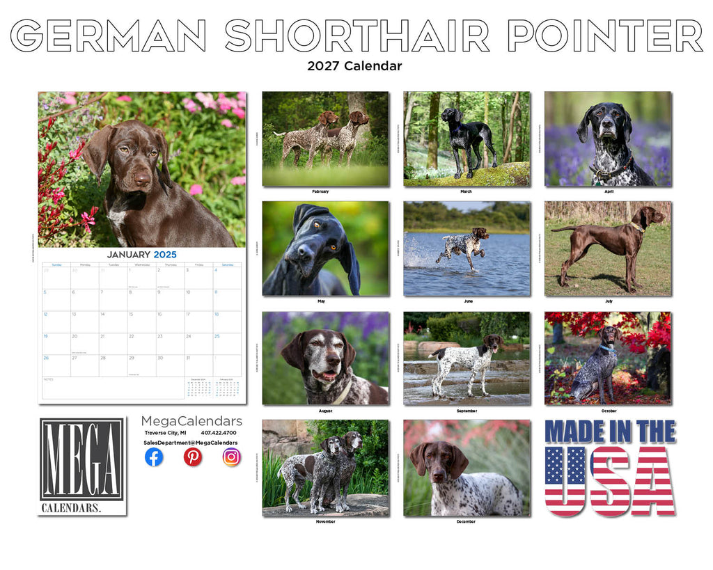 German Shorthaired Pointer Wall Calendar 2027 - 12" x 9" 14-Month Dog Breed