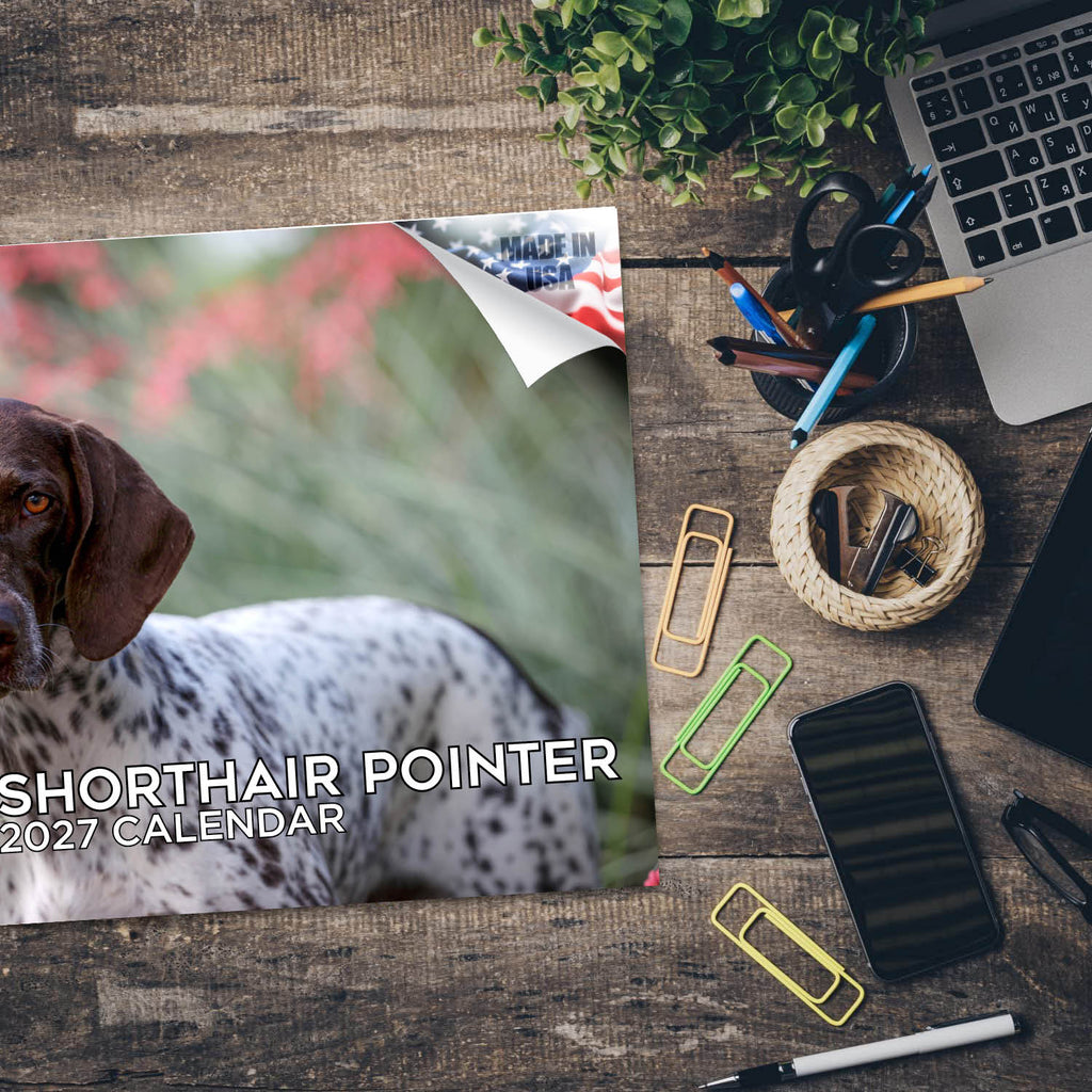 German Shorthaired Pointer Wall Calendar 2027 - 12" x 9" 14-Month Dog Breed