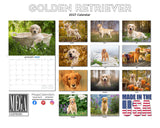 Golden Retriever Wall Calendar 2027 - 12" x 9" 14-Month Dog Breed Calendar