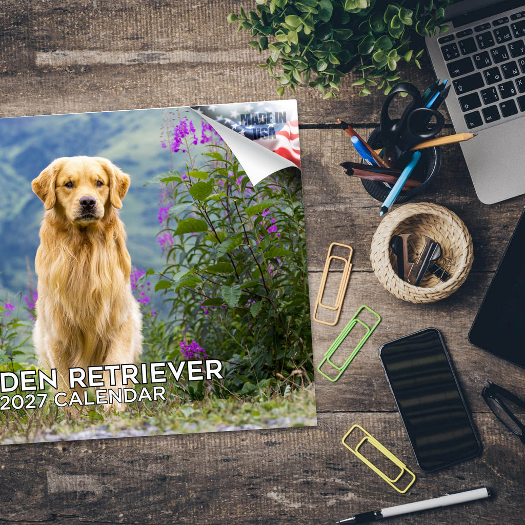 Golden Retriever Wall Calendar 2027 - 12" x 9" 14-Month Dog Breed Calendar