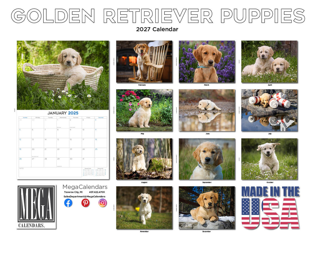 Golden Retriever Puppies Wall Calendar 2027 - 12" x 9" 14-Month Dog Breed