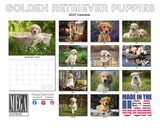 Golden Retriever Puppies Wall Calendar 2027 - 12" x 9" 14-Month Dog Breed