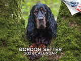 Gordon Setter Wall Calendar 2027 - 12" x 9" 14-Month Dog Breed Calendar