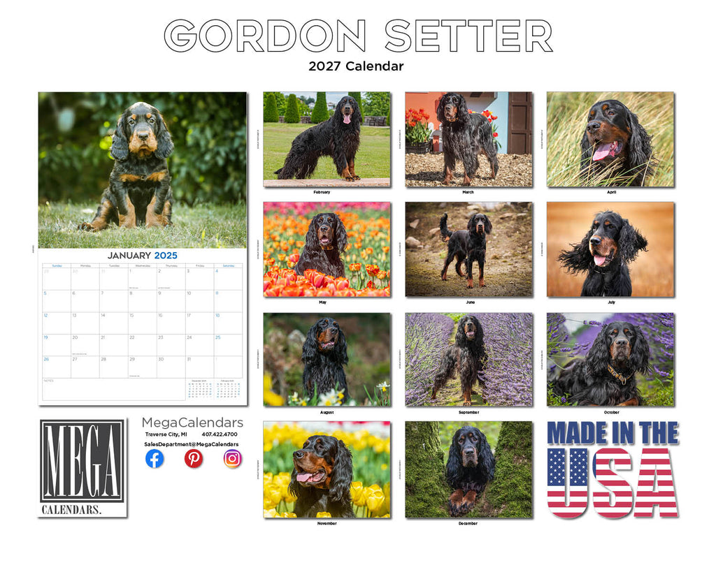 Gordon Setter Wall Calendar 2027 - 12" x 9" 14-Month Dog Breed Calendar