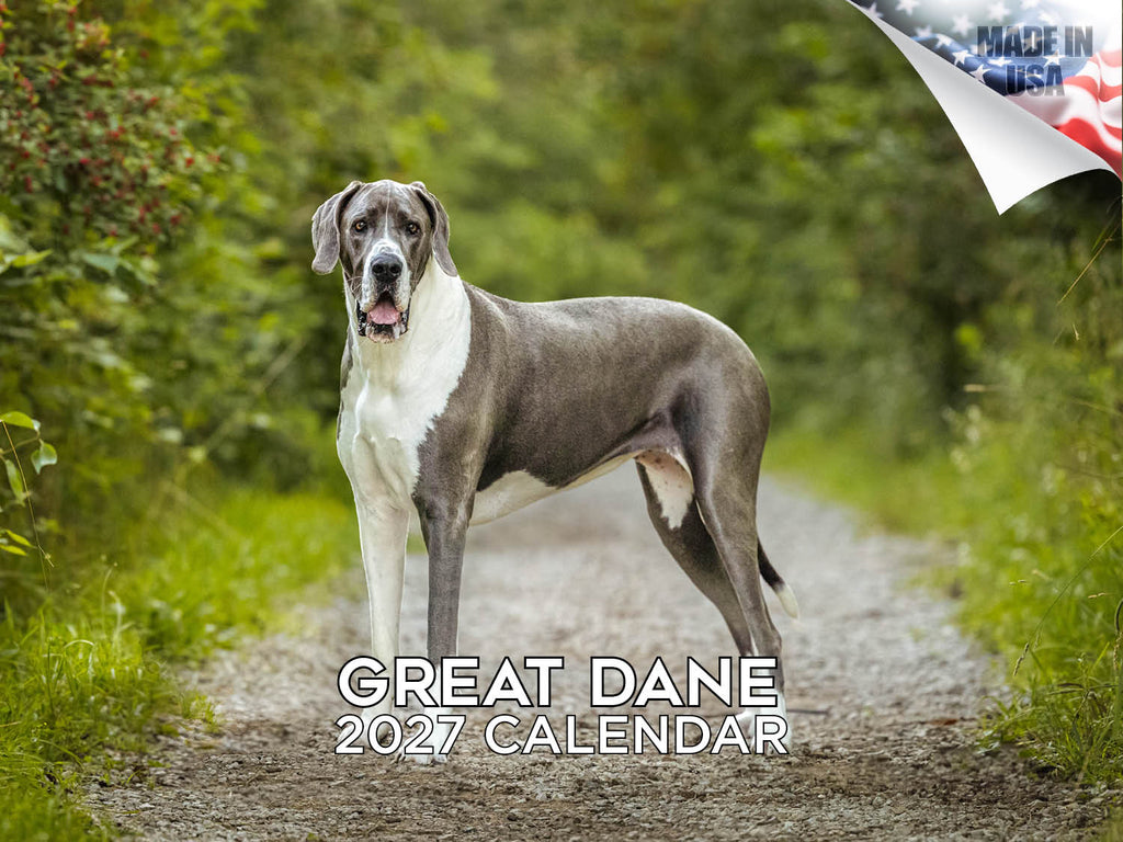 Great Dane Wall Calendar 2027 - 12" x 9" 14-Month Dog Breed Calendar