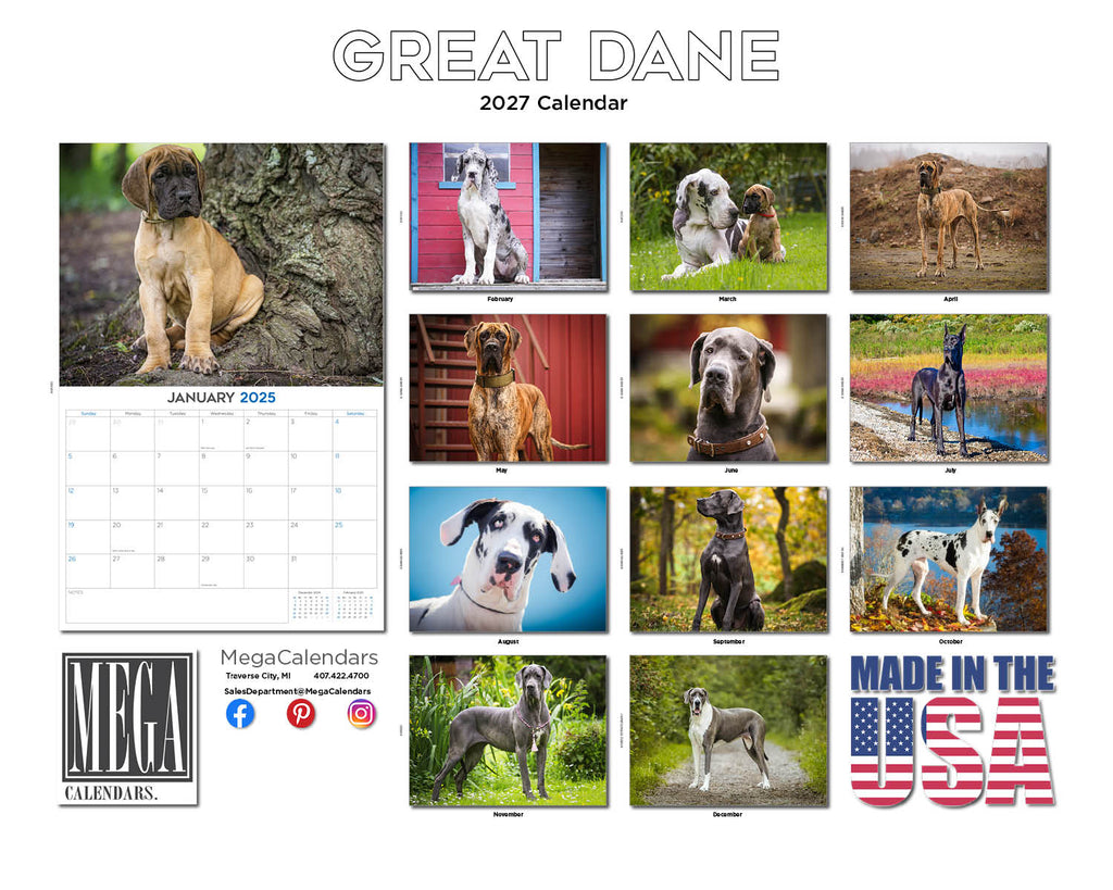 Great Dane Wall Calendar 2027 - 12" x 9" 14-Month Dog Breed Calendar