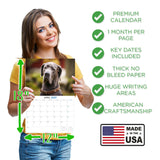 Great Dane Wall Calendar 2027 - 12" x 9" 14-Month Dog Breed Calendar