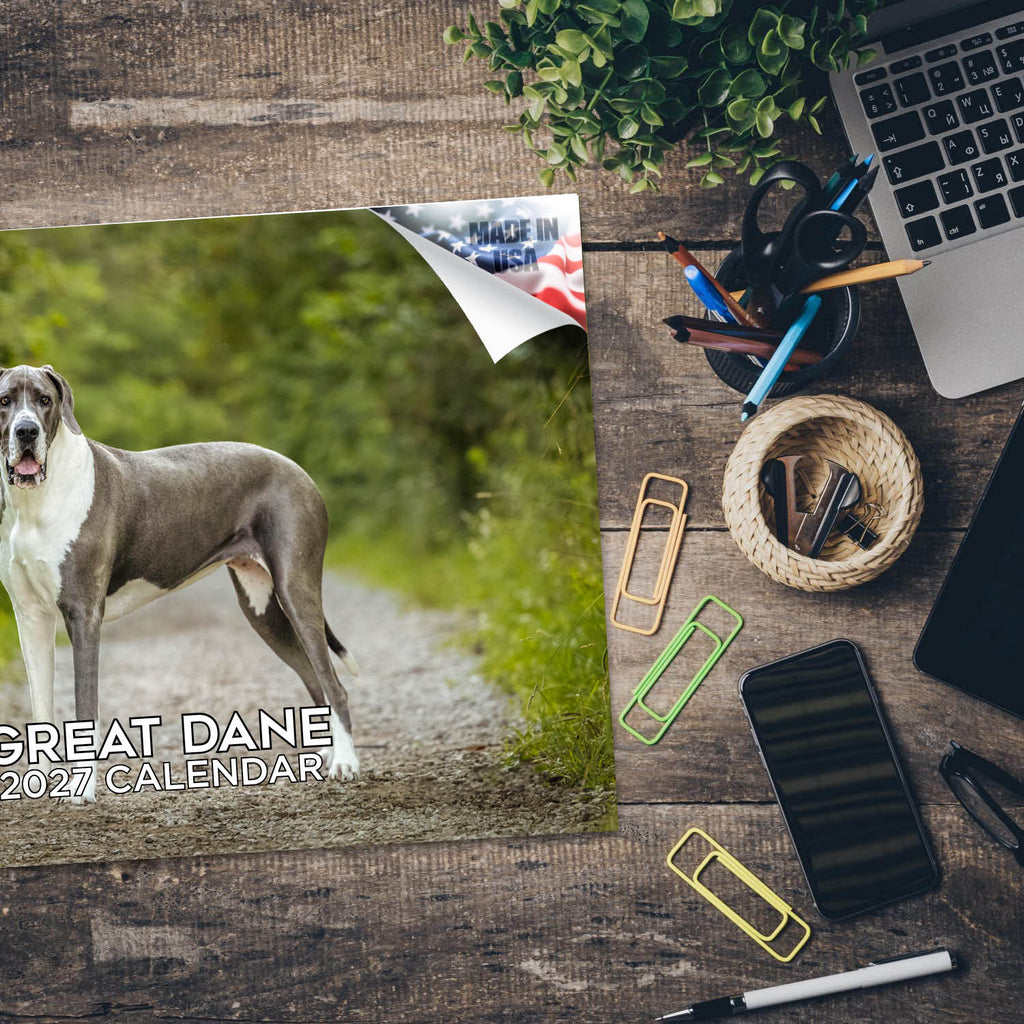 Great Dane Wall Calendar 2027 - 12" x 9" 14-Month Dog Breed Calendar