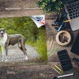 Great Dane Wall Calendar 2027 - 12" x 9" 14-Month Dog Breed Calendar