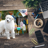 Great Pyrenees Wall Calendar 2027 - 12" x 9" 14-Month Dog Breed Calendar