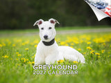 Greyhound Wall Calendar 2027 - 12" x 9" 14-Month Dog Breed Calendar