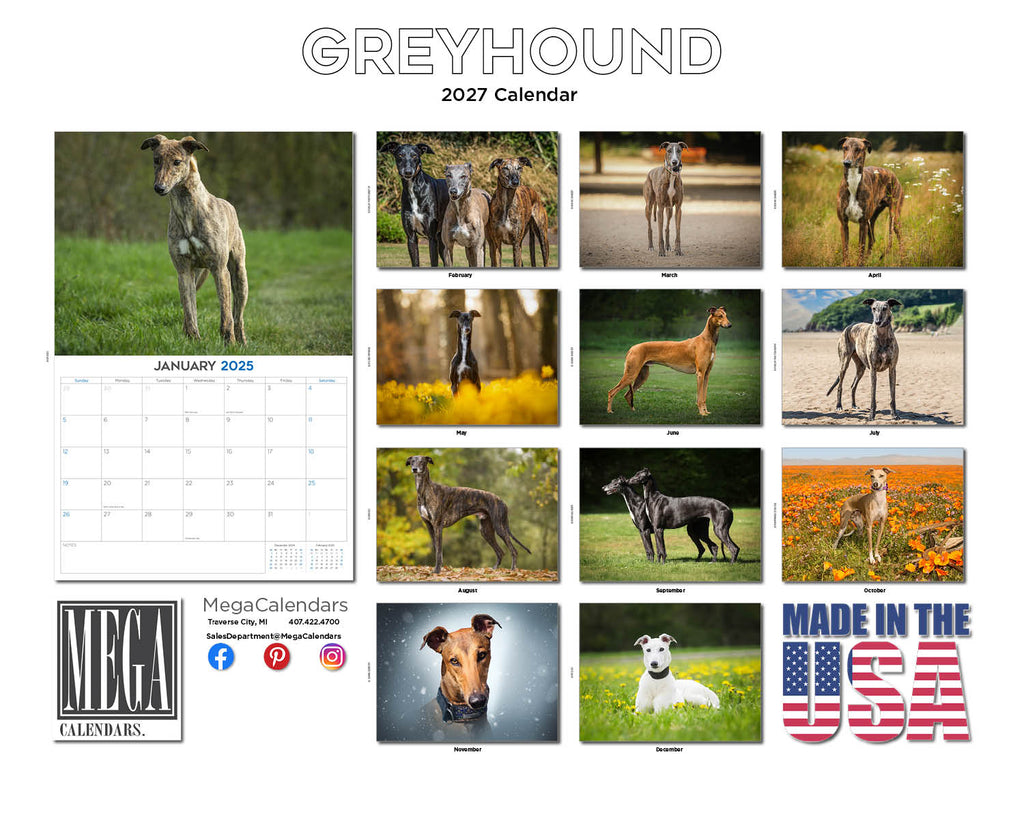 Greyhound Wall Calendar 2027 - 12" x 9" 14-Month Dog Breed Calendar
