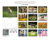 Greyhound Wall Calendar 2027 - 12" x 9" 14-Month Dog Breed Calendar