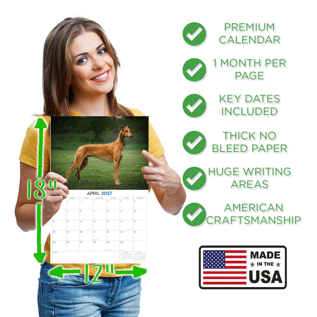 Greyhound Wall Calendar 2027 - 12" x 9" 14-Month Dog Breed Calendar