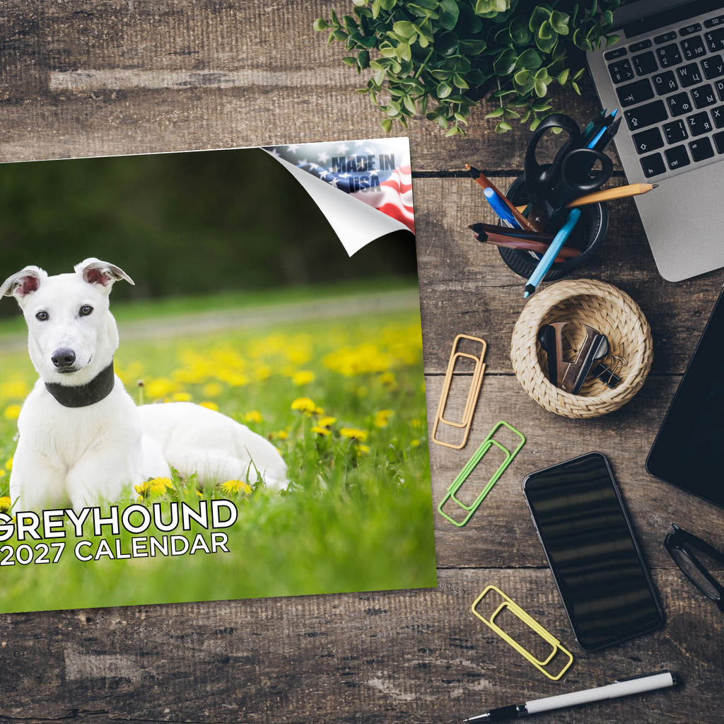 Greyhound Wall Calendar 2027 - 12" x 9" 14-Month Dog Breed Calendar