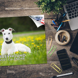 Greyhound Wall Calendar 2027 - 12" x 9" 14-Month Dog Breed Calendar