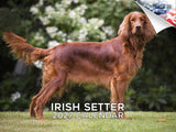 Irish Setter Wall Calendar 2027 - 12" x 9" 14-Month Dog Breed Calendar