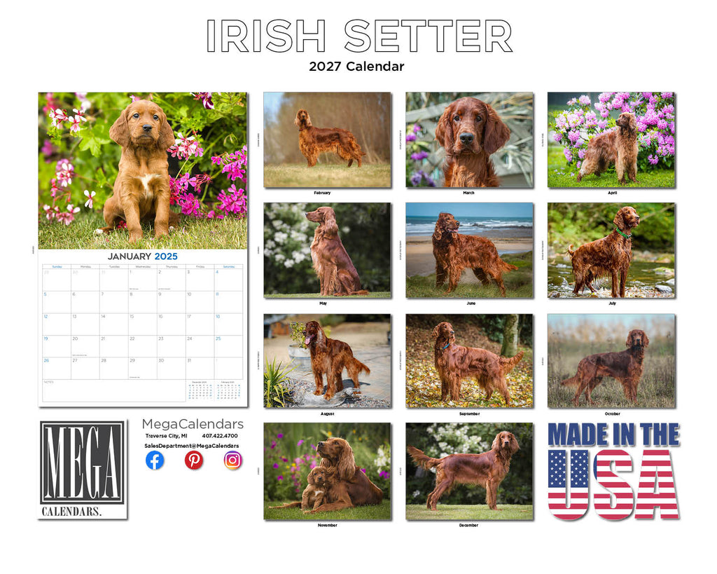 Irish Setter Wall Calendar 2027 - 12" x 9" 14-Month Dog Breed Calendar