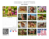Irish Setter Wall Calendar 2027 - 12" x 9" 14-Month Dog Breed Calendar