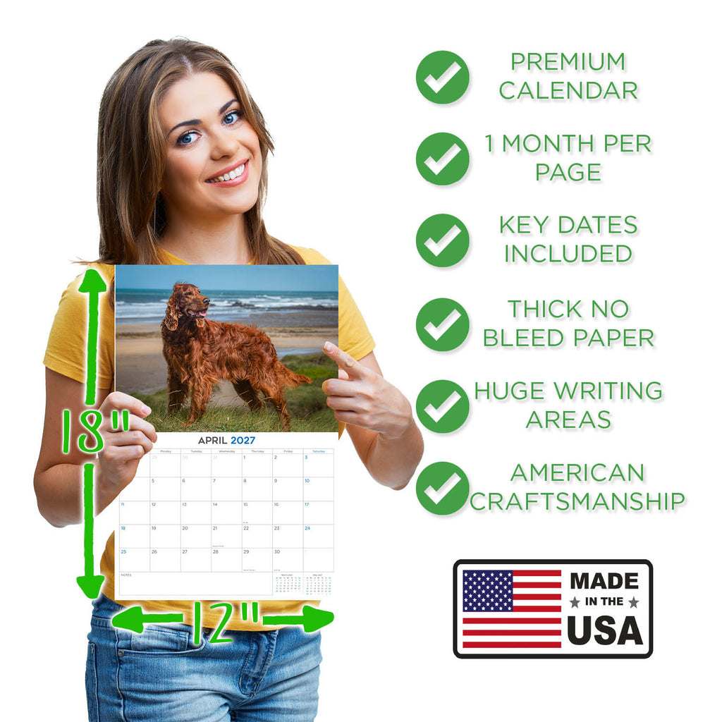 Irish Setter Wall Calendar 2027 - 12" x 9" 14-Month Dog Breed Calendar