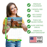 Irish Setter Wall Calendar 2027 - 12" x 9" 14-Month Dog Breed Calendar