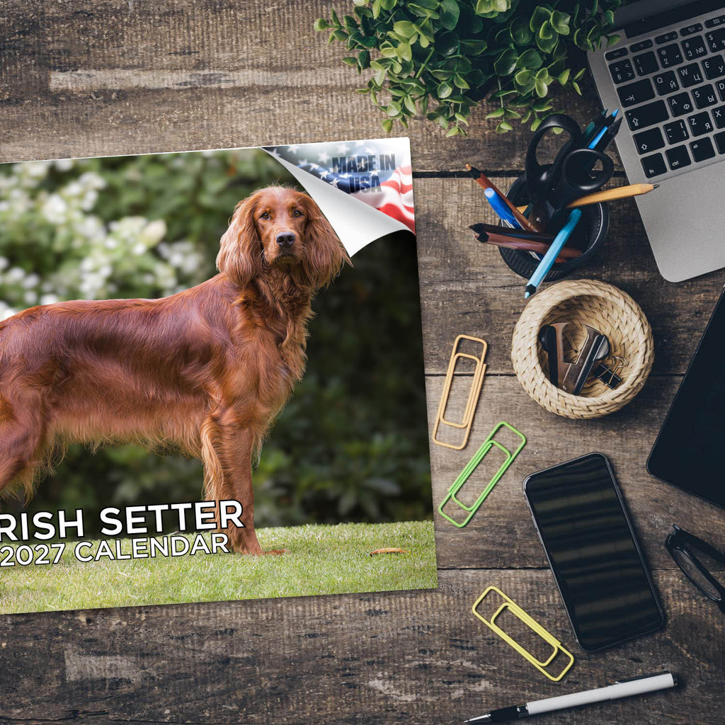 Irish Setter Wall Calendar 2027 - 12" x 9" 14-Month Dog Breed Calendar