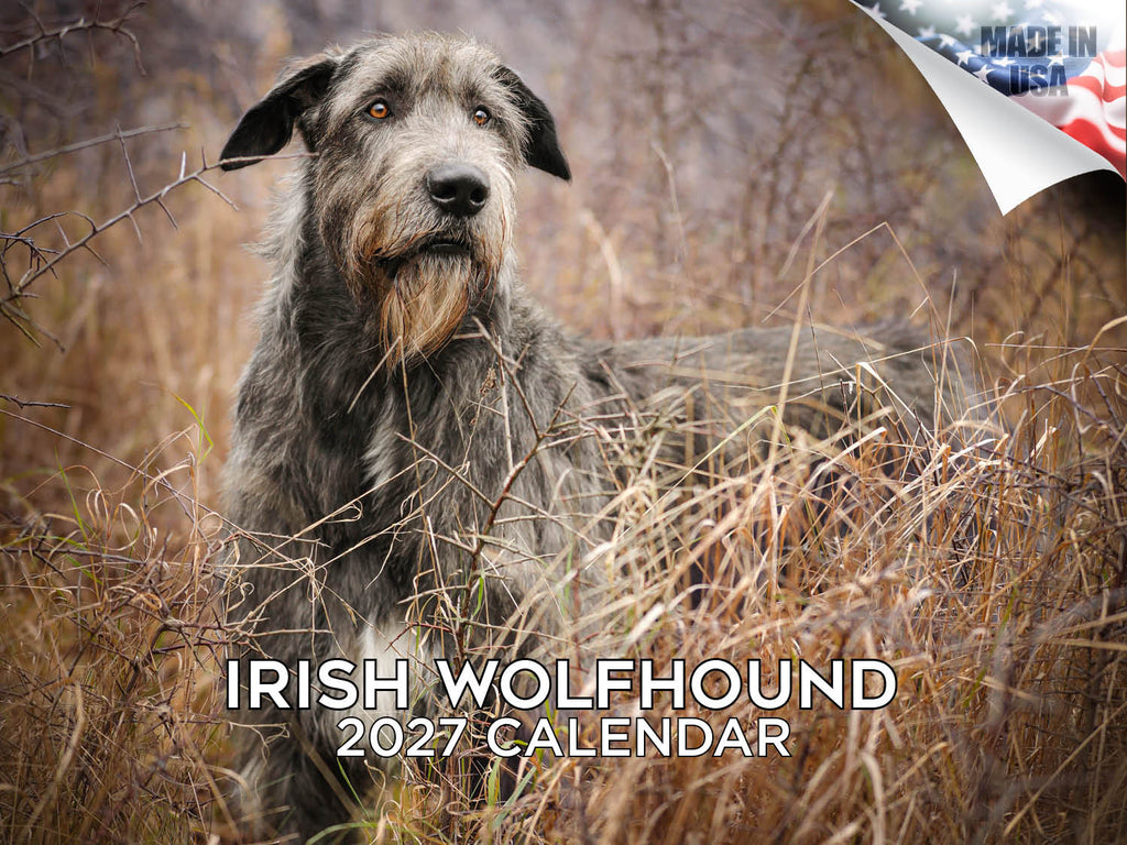 Irish Wolfhound Wall Calendar 2027 - 12" x 9" 14-Month Dog Breed Calendar