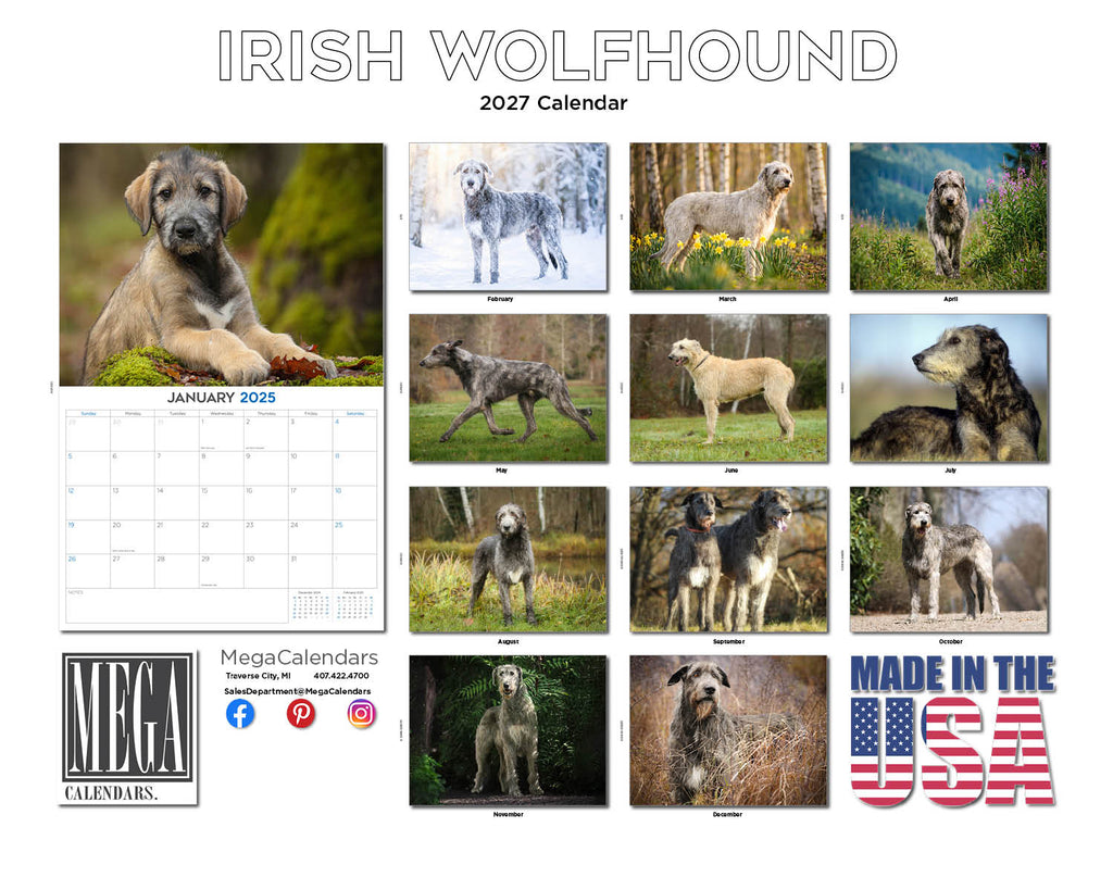 Irish Wolfhound Wall Calendar 2027 - 12" x 9" 14-Month Dog Breed Calendar