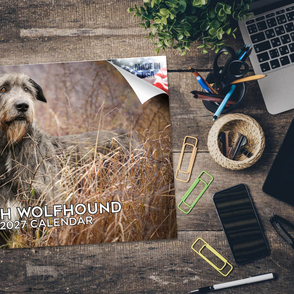 Irish Wolfhound Wall Calendar 2027 - 12" x 9" 14-Month Dog Breed Calendar