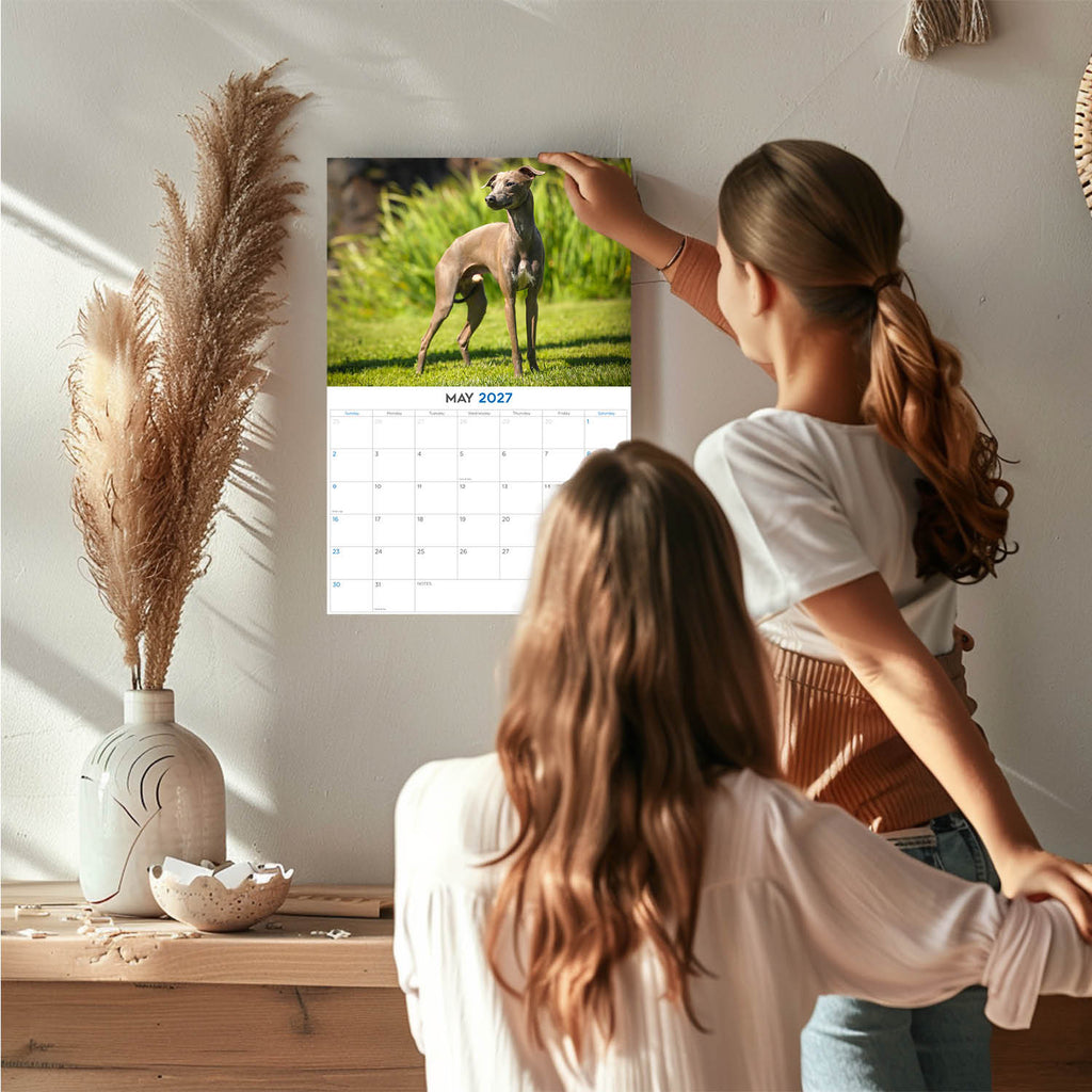 Italian Greyhound Wall Calendar 2027 - 12" x 9" 14-Month Dog Breed Calendar
