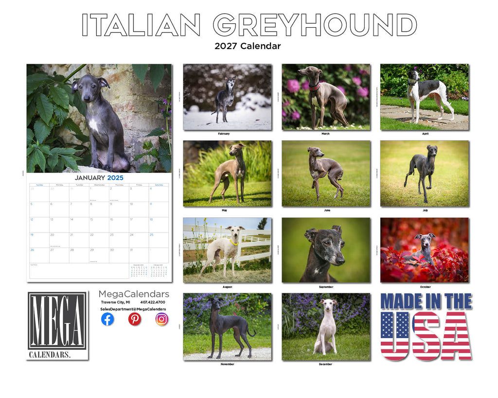 Italian Greyhound Wall Calendar 2027 - 12" x 9" 14-Month Dog Breed Calendar