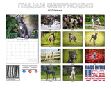 Italian Greyhound Wall Calendar 2027 - 12" x 9" 14-Month Dog Breed Calendar
